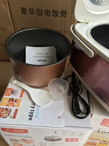 廠家直銷智能電飯煲 廚房小家電與軟件開發的完美結合